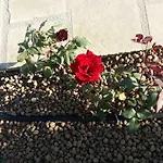 Le Due Cisterne Di Vizzino Gianna Bed & Breakfast Vernole