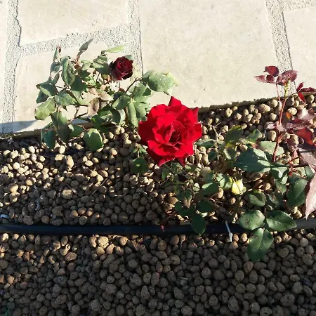 Le Due Cisterne Di Vizzino Gianna Bed and Breakfast Vernole