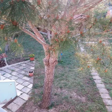 Bed & Breakfast Le Due Cisterne Di Vizzino Gianna